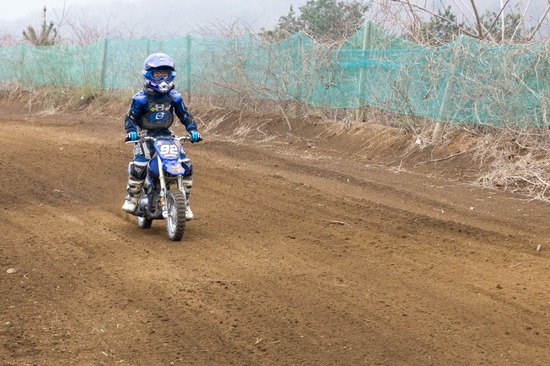 406 銀座ブラックのトイプードルリリーとドナas know as de wan06