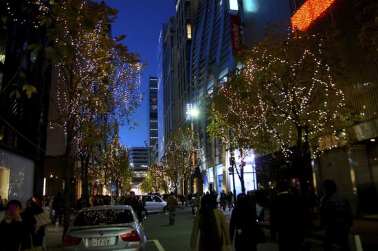 銀座 トイプードル リリー as know as de wan50