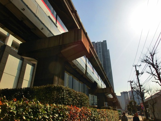 as know as de wan トイプードル 銀座リリー01