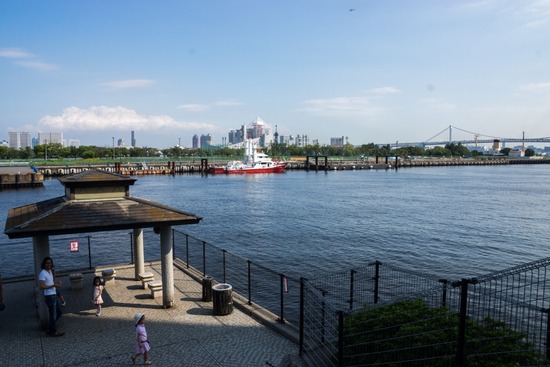 トイプードル ブログ 銀座リリーとドナas know as de wan79