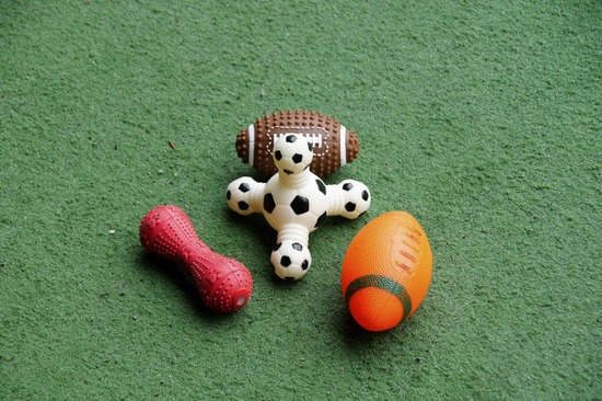 as know as de wan_銀座リリー_トイプードル16