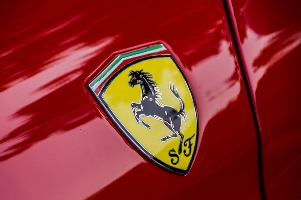 トイプードル銀座リリー038