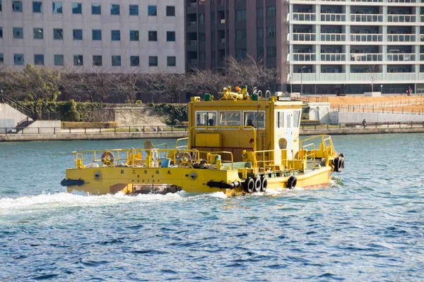 トイプードル銀座リリー013