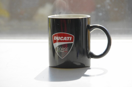 銀座トイプードルリリーas know as de wan09