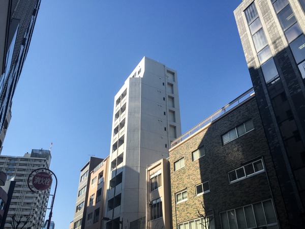 トイプードル銀座リリー012