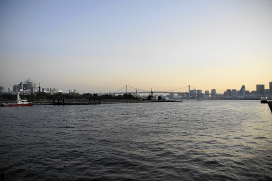 トイプードル銀座リリーas know as dewan11