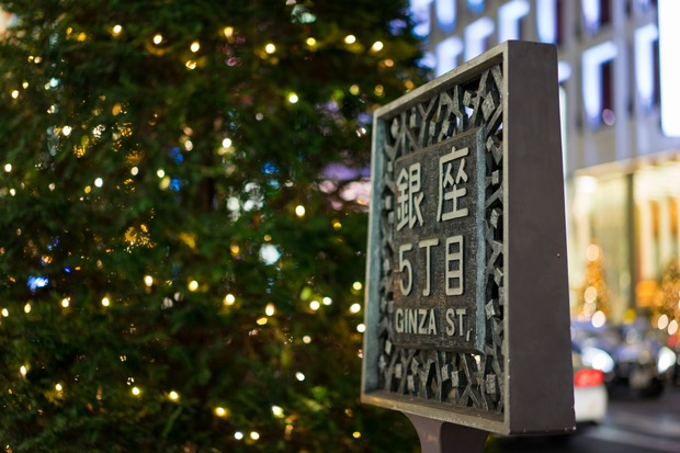 20151215ブラックトイプードル銀座リリー＆ドナ05