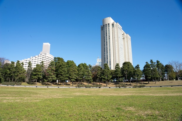 20151222ブラックトイプードル銀座リリー＆ドナ08
