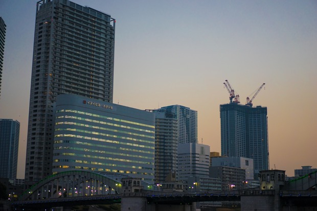 20151216ブラックトイプードル銀座リリー＆ドナ12