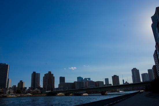 トイプードル ブログ 銀座リリー ドナ as know as de wan82