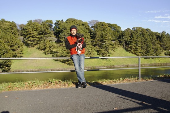 銀座トイプードルリリーas know as de wan26