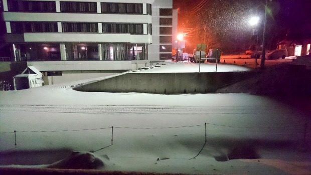 20160111ブラックトイプードル銀座リリー＆ドナ17