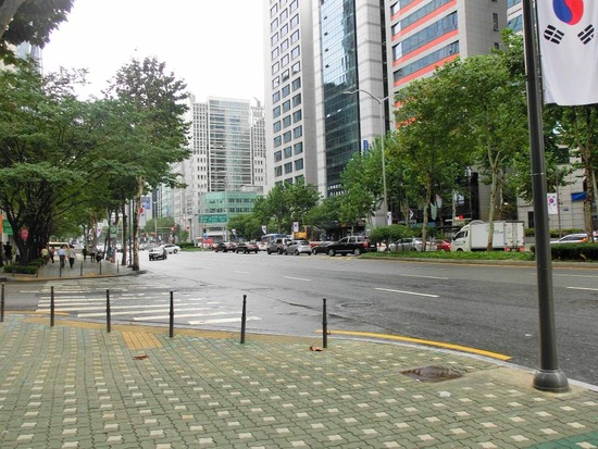 as know as de wanとトイプードルブラックの銀座リリー12