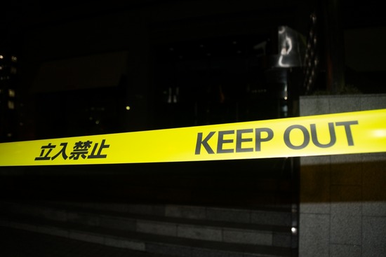 トイプードル ブログ 銀座リリーとドナas know as de wan26