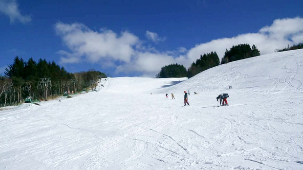 20160111ブラックトイプードル銀座リリー＆ドナ24