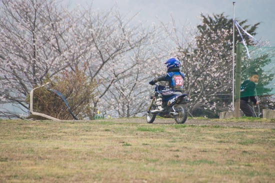 406 銀座ブラックのトイプードルリリーとドナas know as de wan03