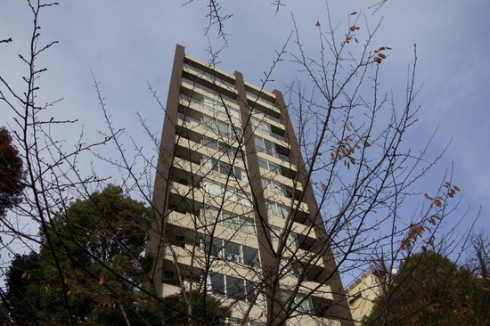 銀座 トイプードル リリー as know as de wan12