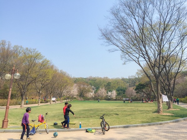 ブラックトイプードル銀座リリードナ046