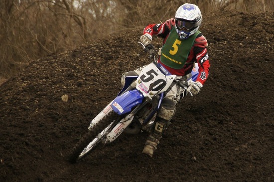 銀座トイプードルリリーas know as de wan08