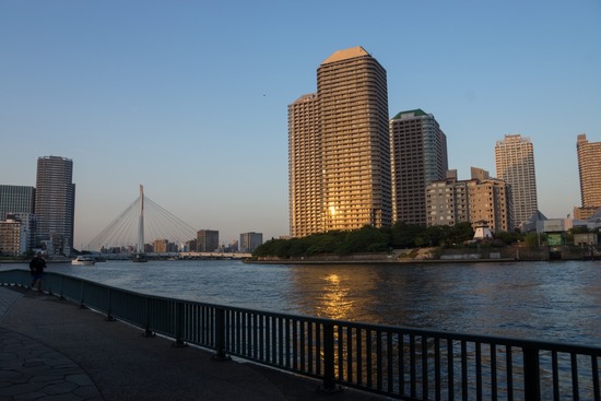 トイプードル銀座リリー＆ドナ124