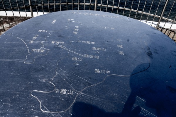 トイプードル銀座リリー015