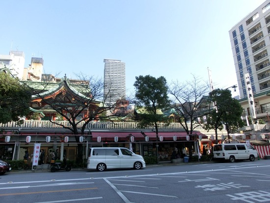 銀座トイプードルリリーas know as de wan10