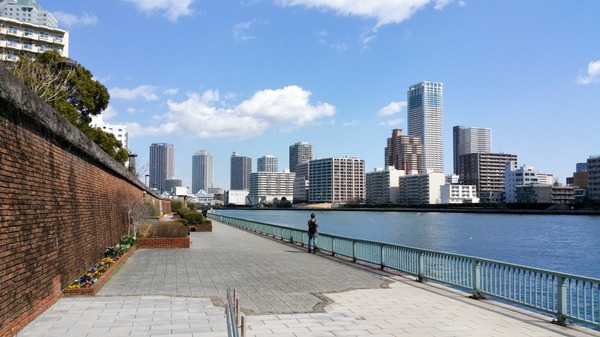 ブラックトイプードル銀座リリードナ007