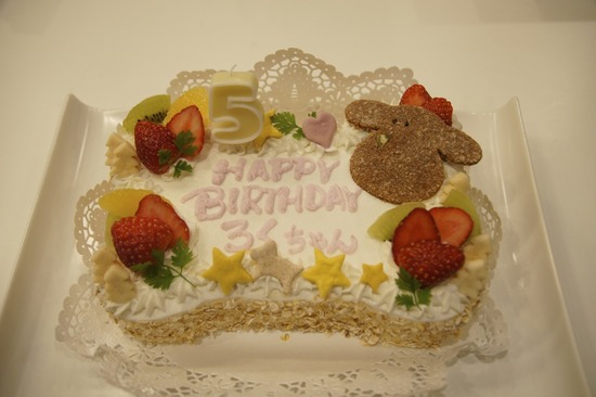 銀座トイプードルリリーas know as de wan29