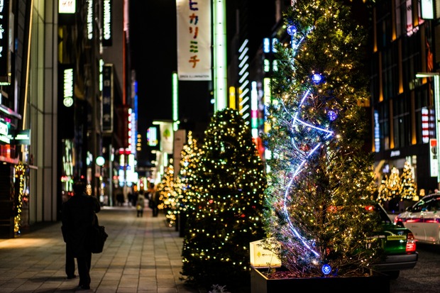 20151215ブラックトイプードル銀座リリー＆ドナ06