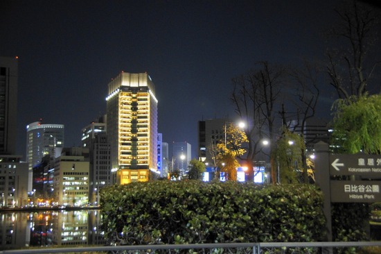 銀座トイプードルリリーas know as de wan28