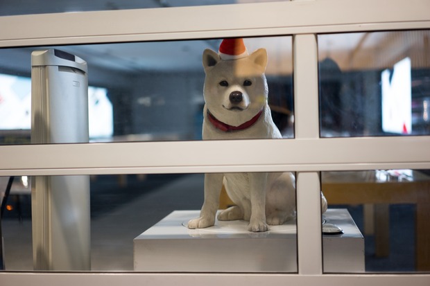 20151219ブラックトイプードル銀座リリー＆ドナ04