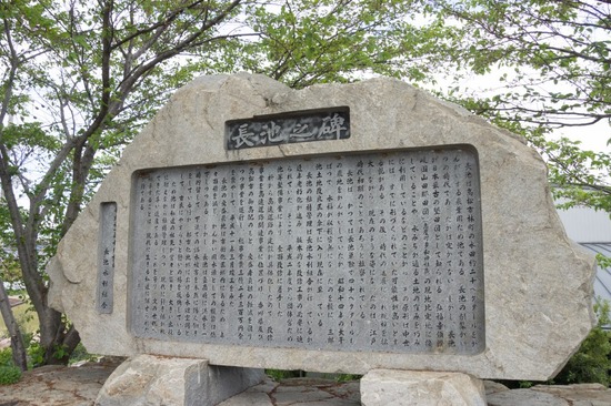 421 銀座ブラックのトイプードルリリーとドナas know as de wan11