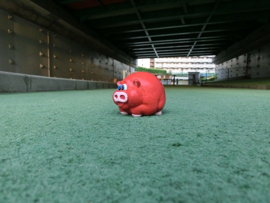 トイプードル銀座リリー＆ドナ06