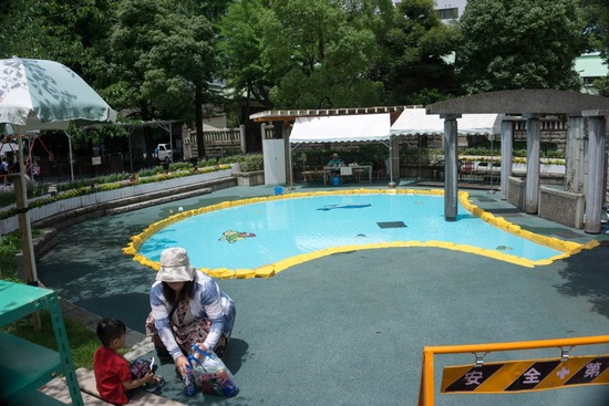 ニャンバーワン,銀座トイプードル,リリーとドナ,asknowasdewan044