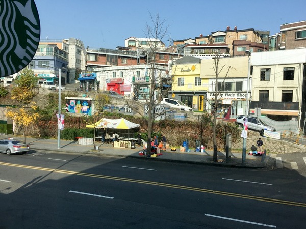 ブラックトイプードル銀座リリー＆ドナ225