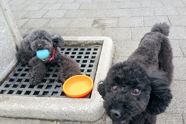 2015091420150913_121851