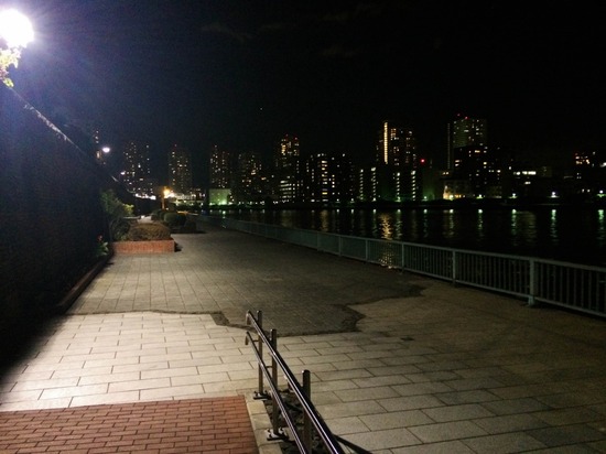 銀座トイプードル,リリーとドナ,as know as de wan100