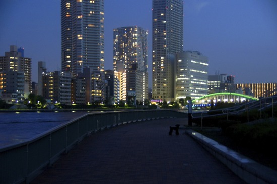 as know as de wan_銀座リリー_トイプードル02