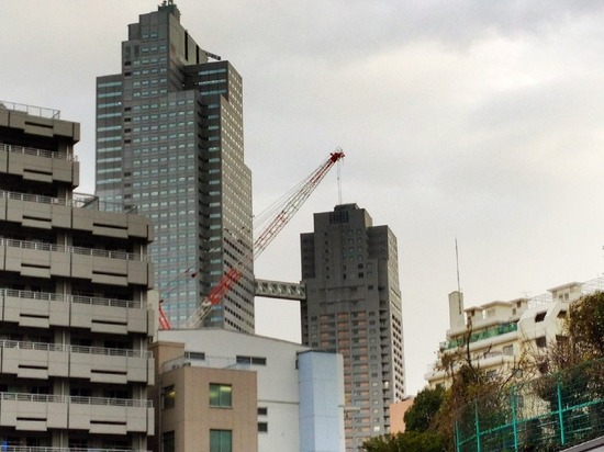 as know as de wan トイプードル 銀座リリー04