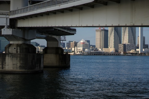 20151212ブラックトイプードル銀座リリー＆ドナ53