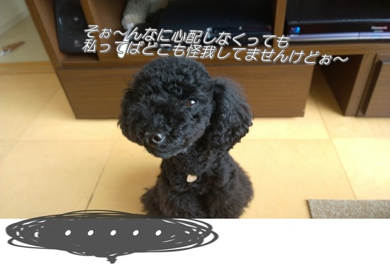 WP_20140611_09_05_50_Pro