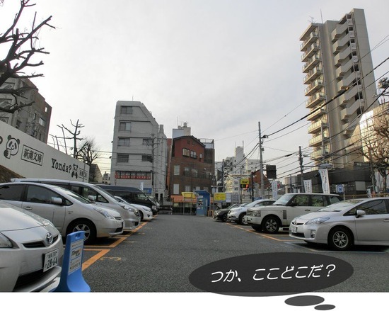 as know as de wan トイプードル 銀座リリー12