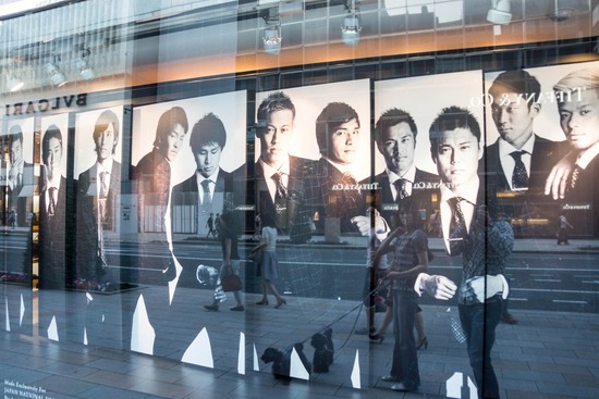 ニャンバーワン,銀座トイプードル,リリーとドナ,asknowasdewan020