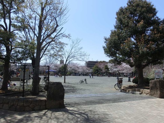 as know as de wan トイプードル 銀座リリー10