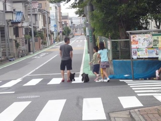 1239431_208401955994770_396779258_n