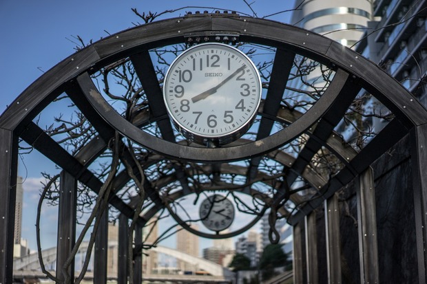 20151225ブラックトイプードル銀座リリー＆ドナ10