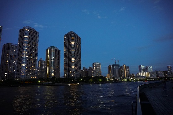 ニャンバーワン,銀座トイプードル,リリーとドナ,asknowasdewan017