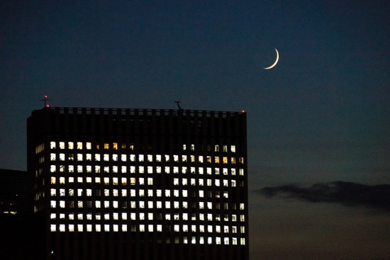 トイプードル銀座リリーとドナas know as de wanブログ17