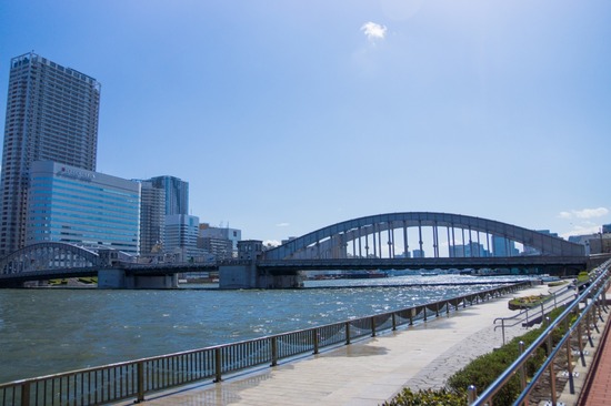 407 銀座ブラックのトイプードルリリーとドナas know as de wan32