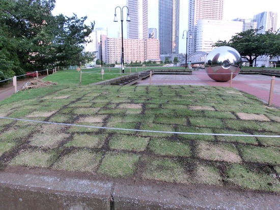 トイプードル銀座リリー＆ドナ10